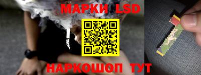 шишки Будённовск