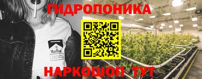 шишки Будённовск