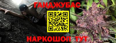 шишки Будённовск