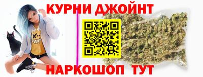 шишки Будённовск