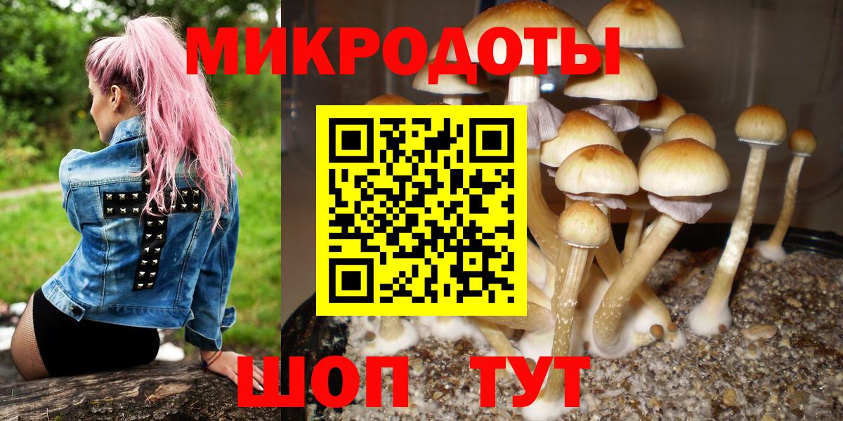 Галлюциногенные грибы Cubensis Костомукша