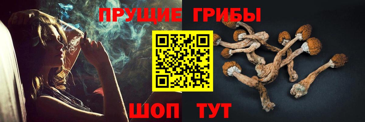Галлюциногенные грибы Magic Shrooms  Вход с VPN  Псилоцибиновые грибы MAGIC MUSHROOMS  Костомукша 